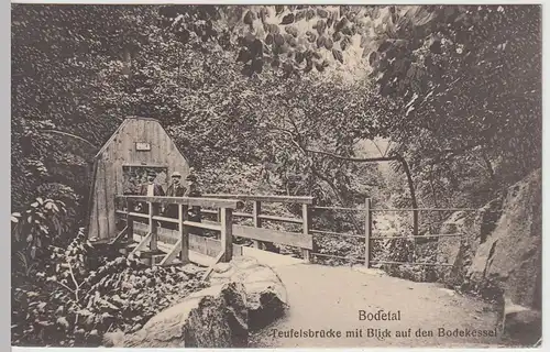 (44030) AK Bodetal, Teufelsbrücke m. Blick a.d. Bodekessel, 1909