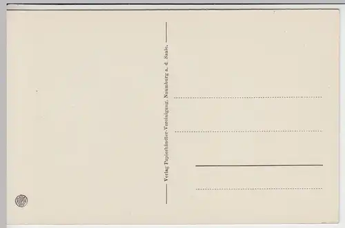 (43254) AK Naumburg, Saale, Marktplatz, Rathaus, Löwenapotheke, vor 1945