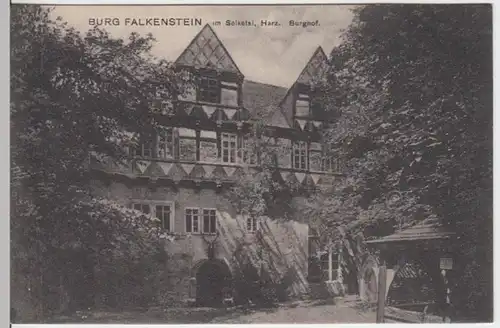 (4282) AK Burg Falkenstein, Harz, Selketal, Burghof, vor 1945