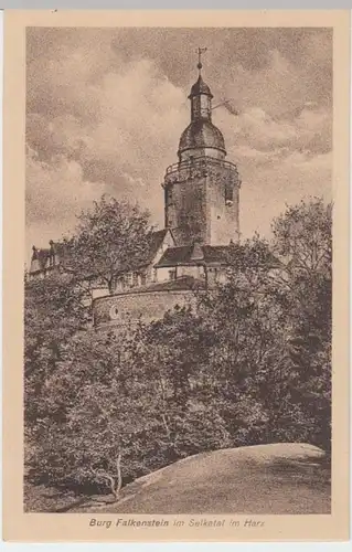 (4268) AK Burg Falkenstein, Selketal, Harz, um 1925