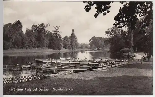 (41768) Foto AK Wörlitz, Wörlitzer Park bei Dessau, Gondelstation 1959