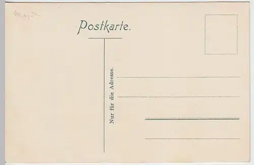 (41030) AK Hasserode, Totale mit Brocken um 1905