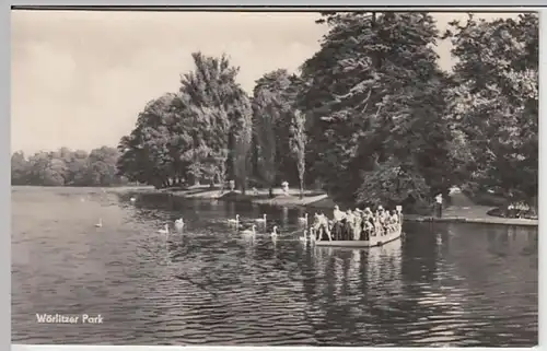 (28758) Foto AK Wörlitz, Park 1934