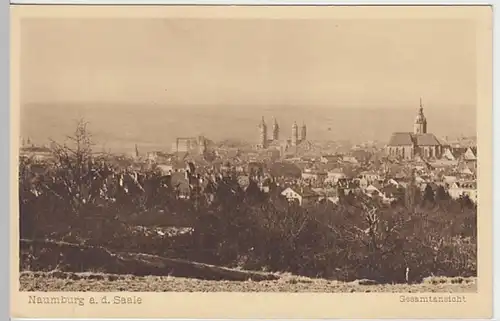 (26582) AK Naumburg, Saale, Panorama, vor 1945