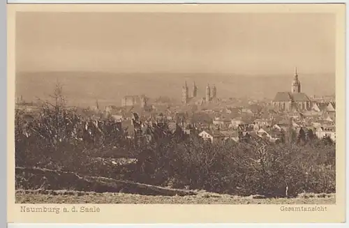 (26576) AK Naumburg, Saale, Panorama, vor 1945