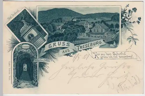 (25261) AK Gruß aus Treseburg, Wilhelmsblick, Pfeil Denkmal, Litho 1901