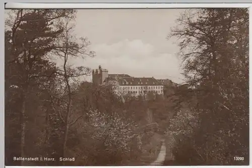 (18438) Foto AK Ballenstedt, Schloss 1930