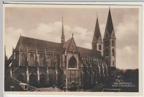 (18426) Foto AK Halberstadt, Dom, vor 1945