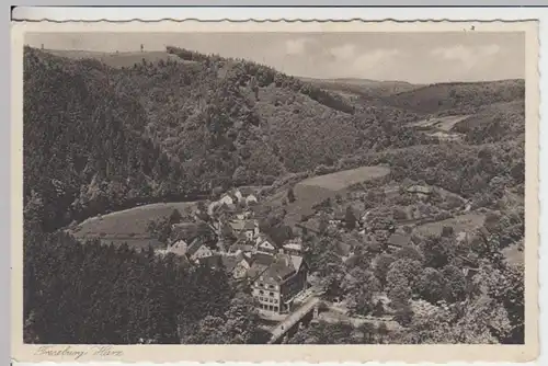 (17076) AK Treseburg (Harz) 1929