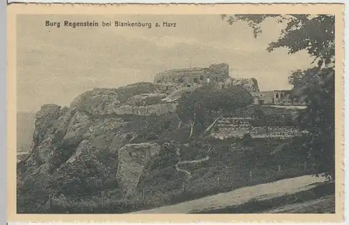 (16742) AK Blankenburg, Harz, Burg Regenstein, vor 1945