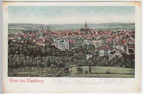 (15462) AK Gruß aus Naumburg, Saale, Panorama 1902