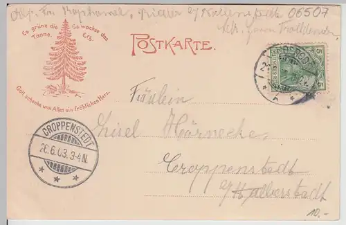 (115693) AK Bad Suderode am Harz, Totalansicht 1903