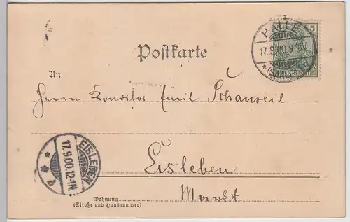 (112602) AK Gruß aus Halle, Saale, Post 1900