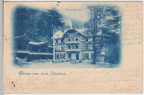 (112443) AK Gruß aus dem Ilsetal, Harz, Hotel Prinzess Ilse 1899