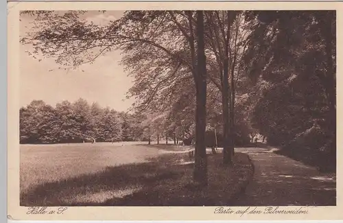 (111804) AK Halle, Saale, Partie auf den Pulverweiden 1938