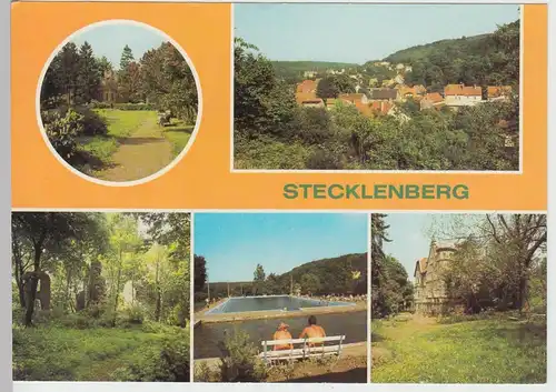 (111661) AK Stecklenberg, Thale, Freibad, Stecklenburg, FDGB Erholungsheim, Park