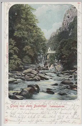 (110326) AK Gruss aus dem Bodetal, Teufelsbrücke, 1906