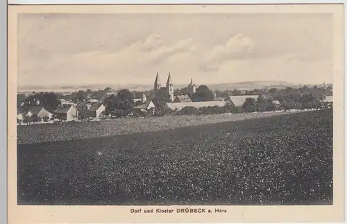 (108785) AK Dorf und Kloster Drübeck, Ilsenburg, Harz, um 1914