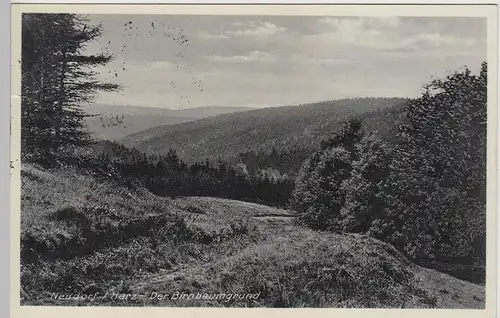 (108729) AK Neudorf, Harz, Birnbaumgrund 1939