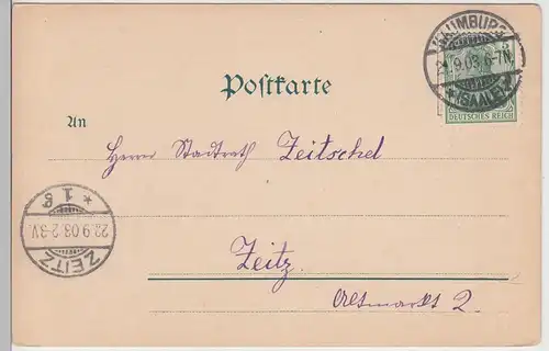 (108553) AK Naumburg, Saale, Marientor 1903