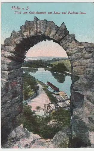 (107080) AK Halle, Saale, Blick vom Giebichenstein auf Peißnitz Insel 1914