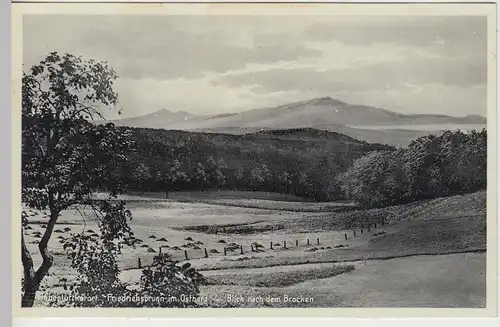 (106657) AK Friedrichsbrunn im Ostharz, Blick nach dem Brocken, vor 1945