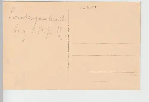 (106654) AK Treseburg im Bodetal (Harz), Totale vom Weißen Hirsch, 1912