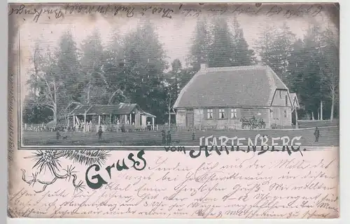 (106472) AK Elbingerode, Gruss vom Hartenberg, 1902
