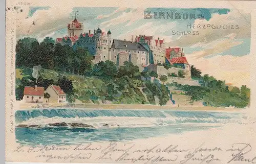 (104664) Künstler AK Bernburg, Herzogliches Schloss, 1899