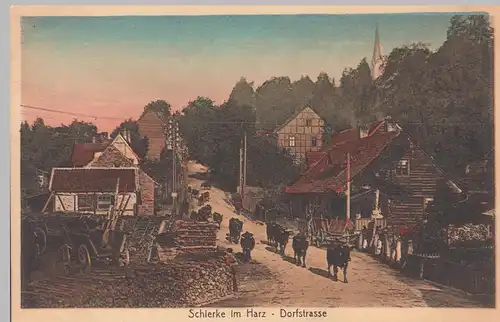 (103064) AK Schierke im Harz, Dorfstraße, 1910er