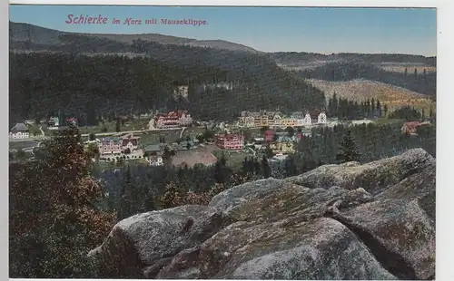 (103063) AK Schierke im Harz, Ansicht mit Mauseklippe, 1910/20er