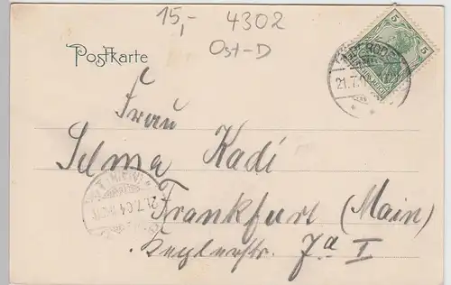 (101446) AK Bad Suderode am Harz, Panorama 1904