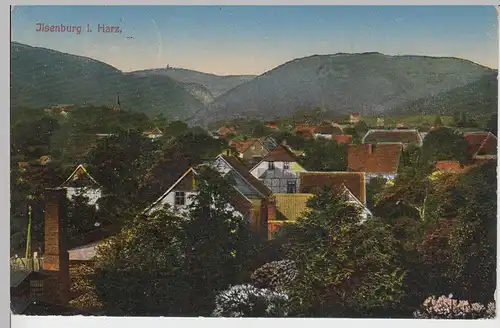(101227) AK Ilsenburg, Harz, Panorama 1919