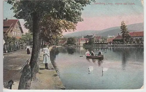 (101226) AK Ilsenburg, Harz, Partie am Teich 1909