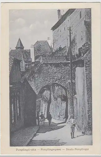 (35694) AK Hermannstadt, Sibiu, Pempflingergasse, 1916