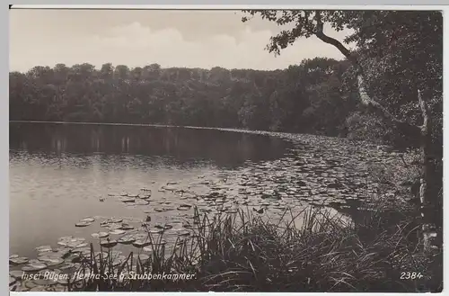 (49761) Foto AK Insel Rügen, Hertha-See b. Stubbenkammer, 1934