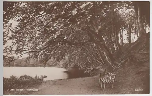 (19960) Foto AK Rügen, Herthasee, vor 1945