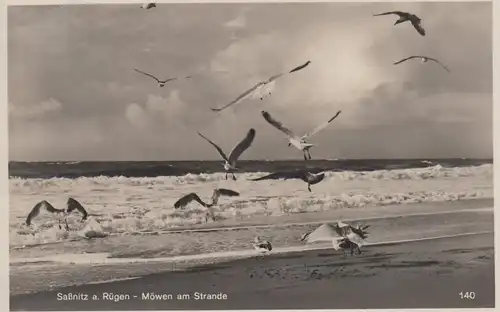 (107876) Foto AK Saßnitz, Rügen, Möwen am Strand 1937