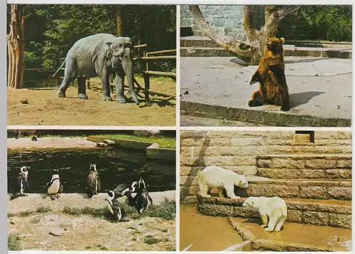 (99632) AK Rostock, Mehrbildkarte Zoologischer Garten, 1974