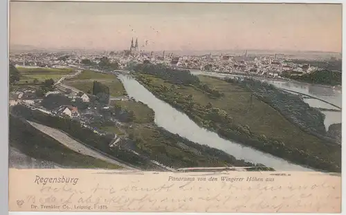 (113031) AK Regensburg, Panorama von den Wingerer Höhen aus, 1908