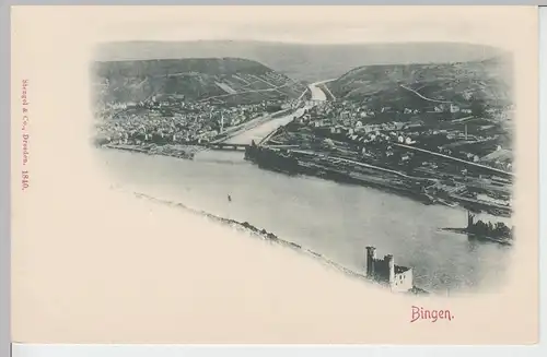 (94834) AK Bingen, Gesamtansicht vor 1905