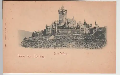 (84698) AK Gruss aus Cochem, Burg Cochem bis 1905