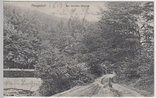 (7445) AK Rengsdorf, Mühlen-Weiher 1911