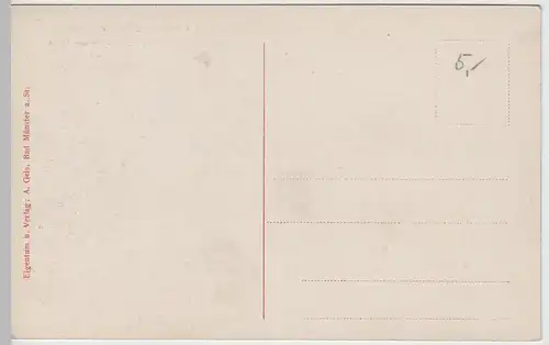 (65960) AK Bad Münster am Stein, Rheingrafenstein und Fähre, vor 1920