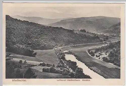 (46601) AK Wiedbachtal, Waldbreitbach, Almblick, 1912