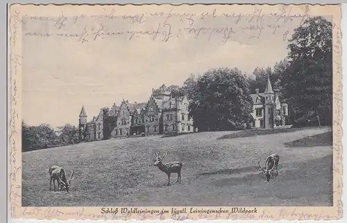 (115363) AK Waldleiningen, Schloss im Wildpark 1929