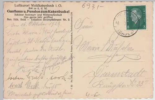 (115363) AK Waldleiningen, Schloss im Wildpark 1929