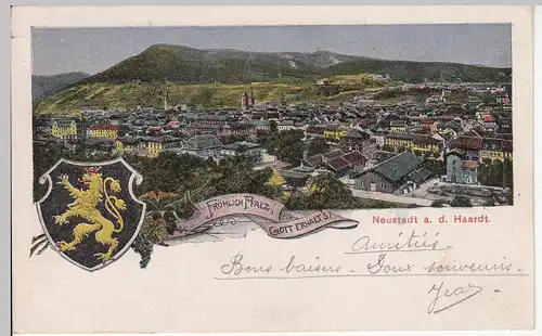 (113772) AK Neustadt an der Weinstraße, Panorama, Wappen 1919