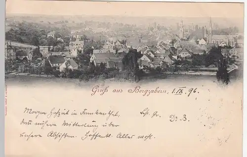 (113162) AK Gruß aus Bergzabern, Panorama 1896