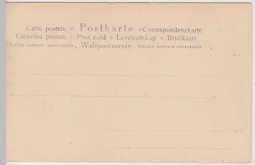 (111058) AK Ehrenbreitstein, Blick zur Festung vor 1905